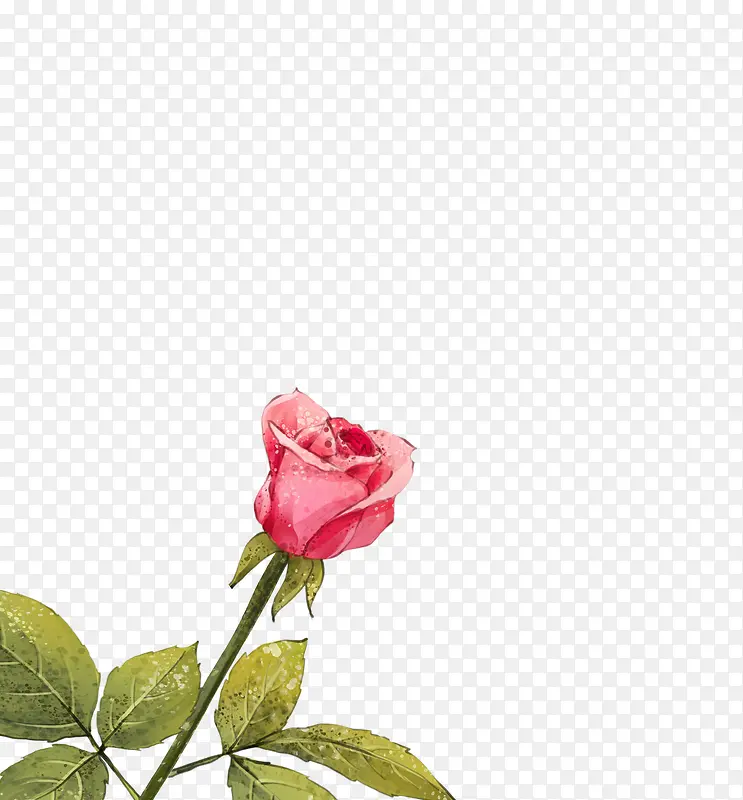 õ��-������