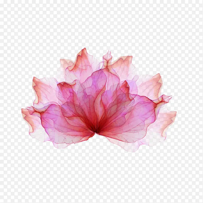 Ư��ˮ��õ���ɫ����-������