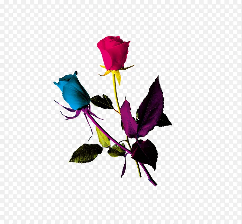 ��ɫõ��-������