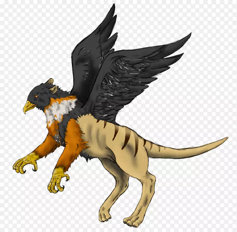 �����л��崫˵�еĶ���-�����-������