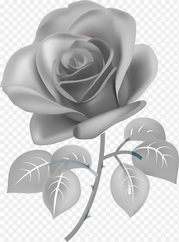 õ��-������