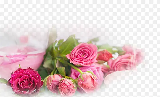 �ۺ�ɫõ��-������