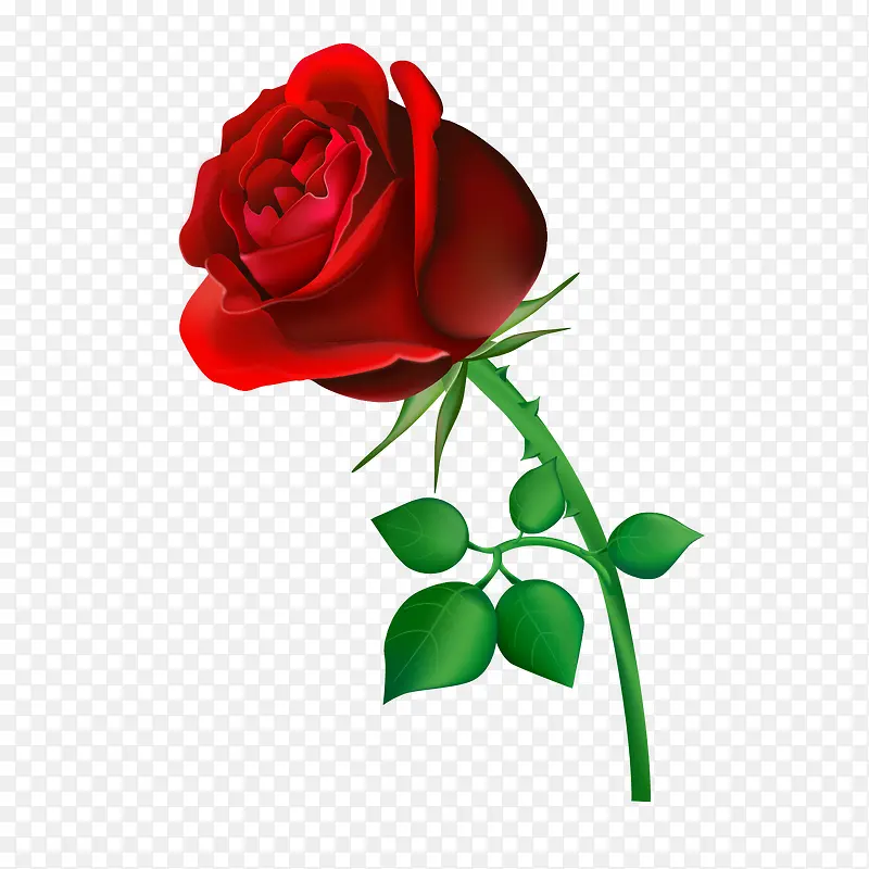 õ��-������