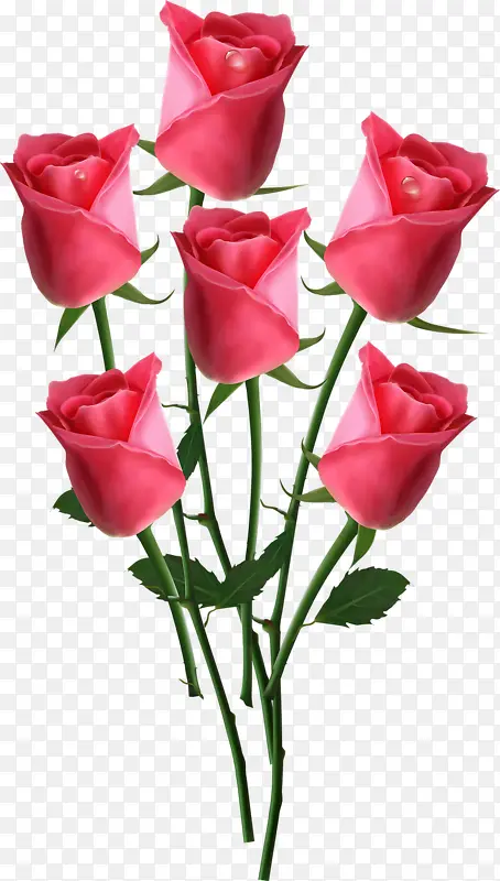 ����õ��-������