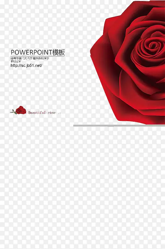 ��ɫõ��-������