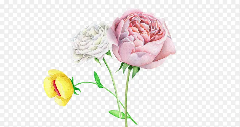 ˮ���ֻ�õ��-������