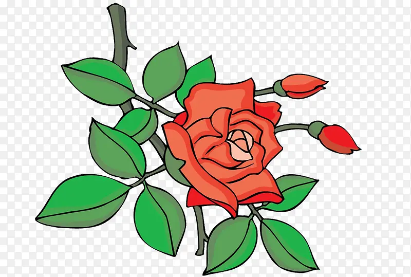 �ֻ�õ��-������