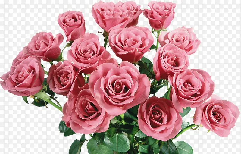 һ��õ��-������