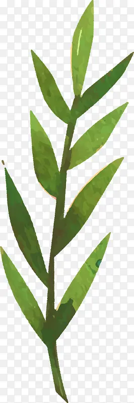 װ�β�-������