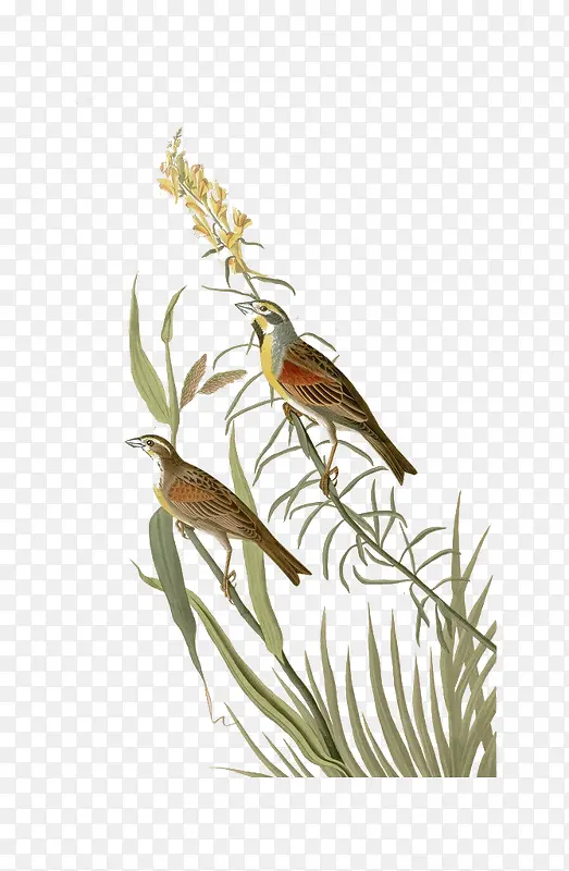 �й������Ͳ�ˮī��-������