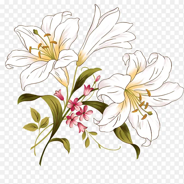 ��ɫ ��-������