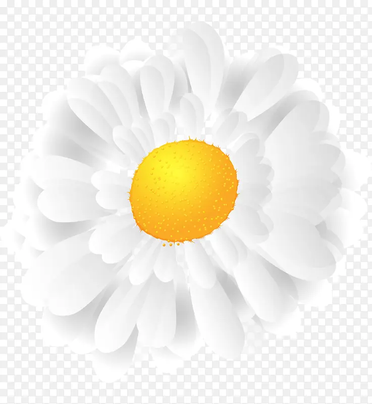 ��ɫ�ջ�-������