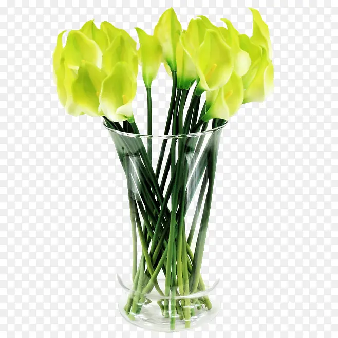 ��ƿ-������