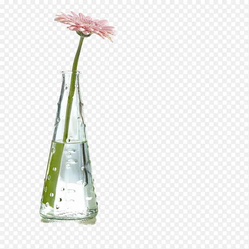 ��ƿ-������