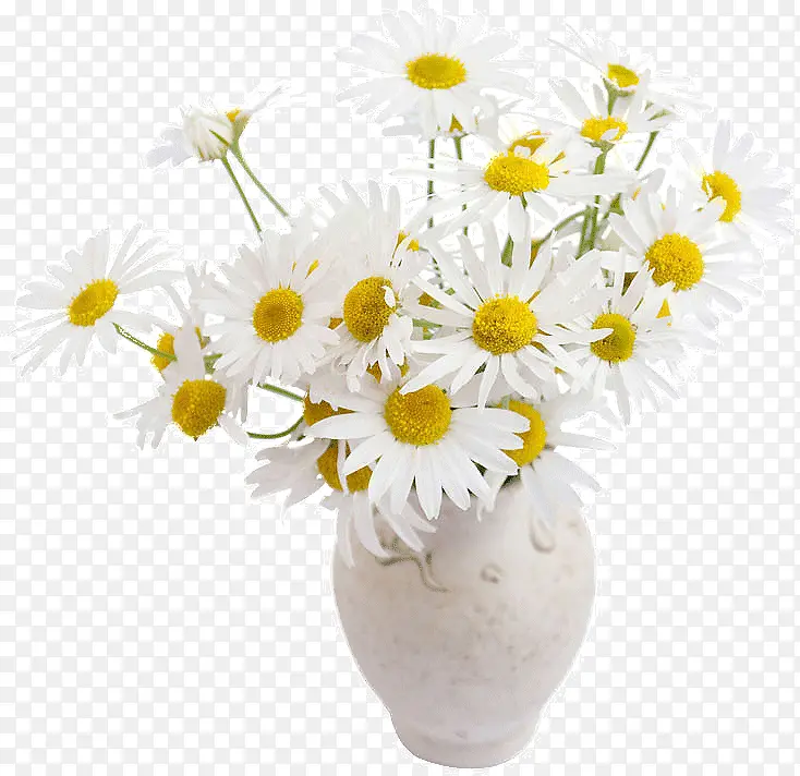 ��ɫ���껨��-������