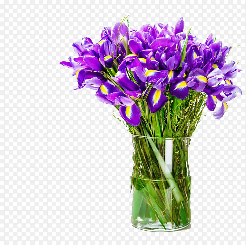 ������ƿ�ز�-������