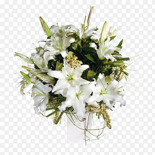 ��ɫ�ٺ�-������