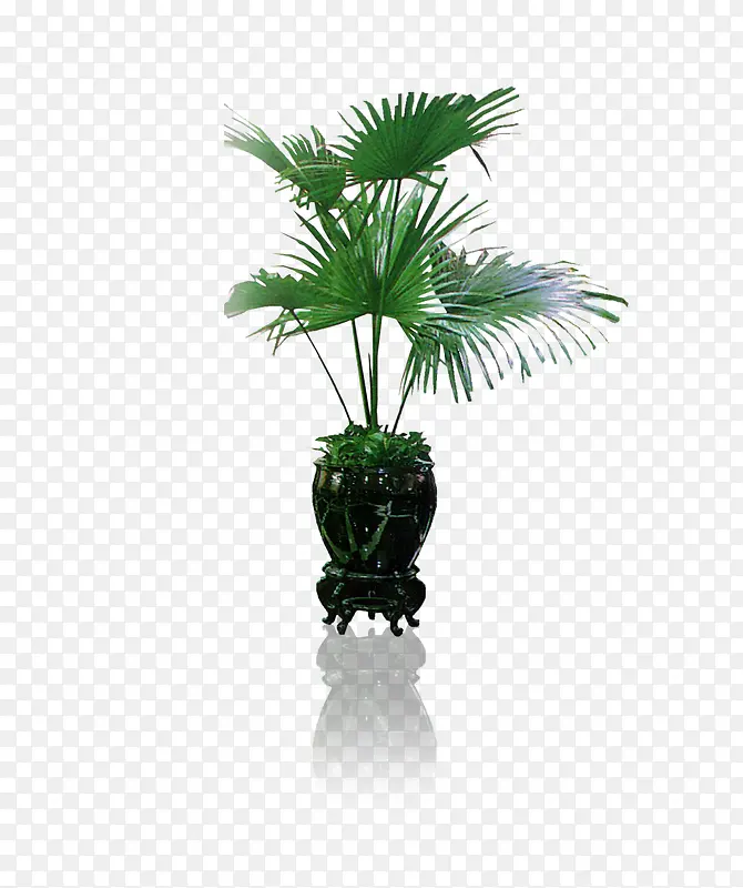 ��Ʒʵ����ֲ-������