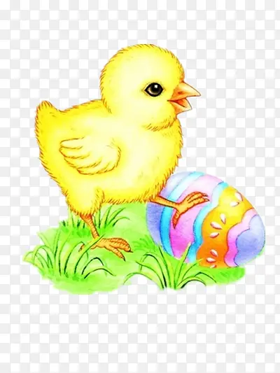 ��ͨС��-������