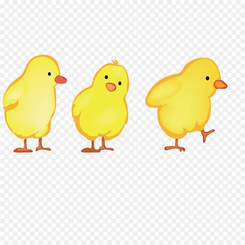 �ɰ�С��-������