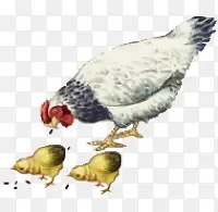 ��ͨ����-������