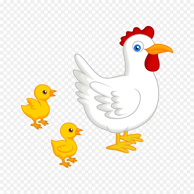 ���� ��ͨ����-������