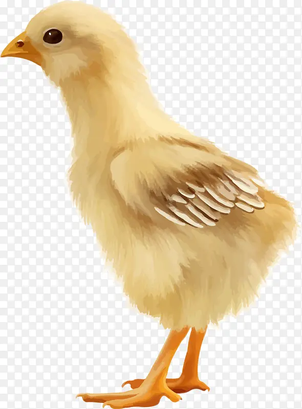 ��ͨ�ֻ�-������