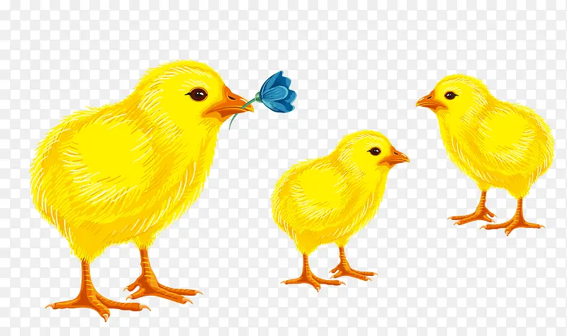 ��ͨ�ֻ�С��-������