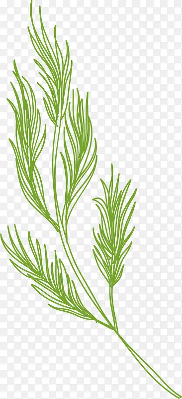 Ҷ�ӻ��ʳ������-������