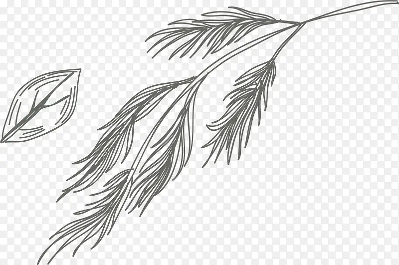 ֦Ҷ���ʳ������-������