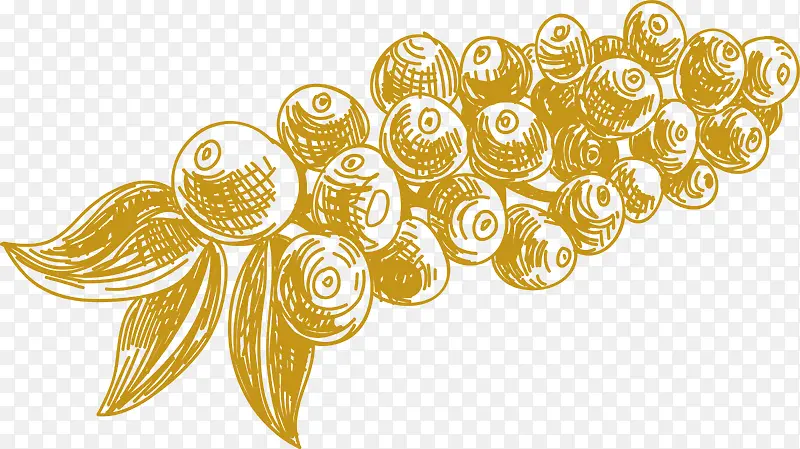 ֲ����ʳ������-������