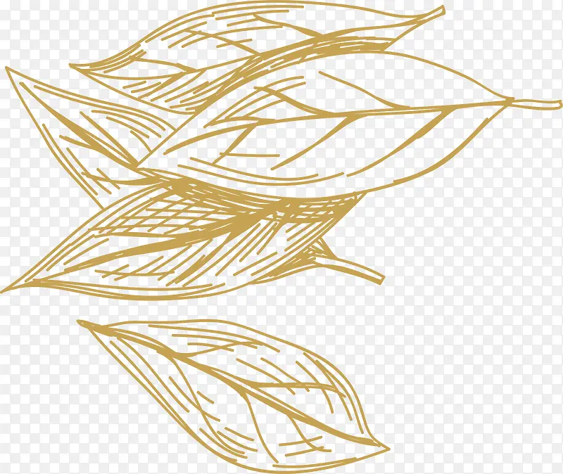 Ҷ�ӻ��ʳ������-������