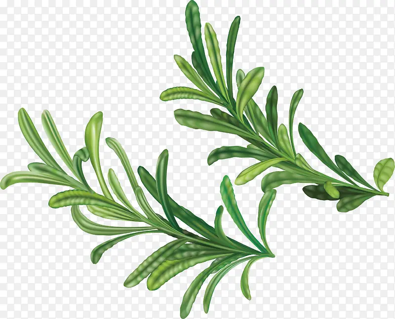 Ҷ�ӻ��ʳ������-������