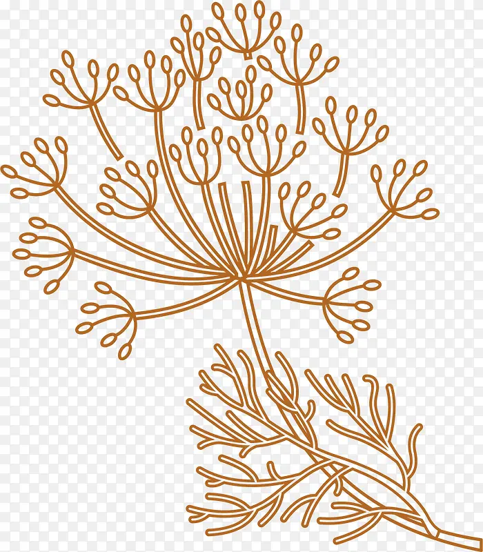 Ҷ�ӻ��ʳ������-������