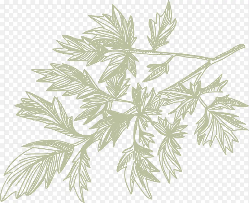 Ҷ�ӻ��ʳ������-������