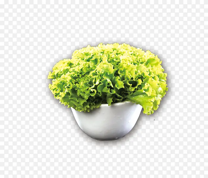 ����-������