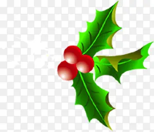 ��ɫҶ��ʥ���ڻ��ͼƬ-������