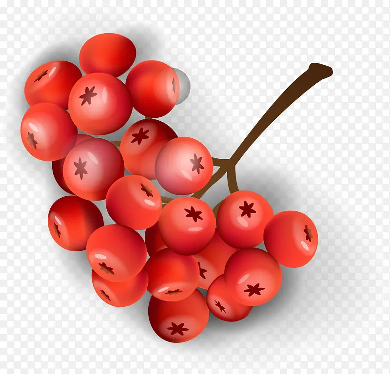 ��ͨ��ɫɽ�ʳ��-������