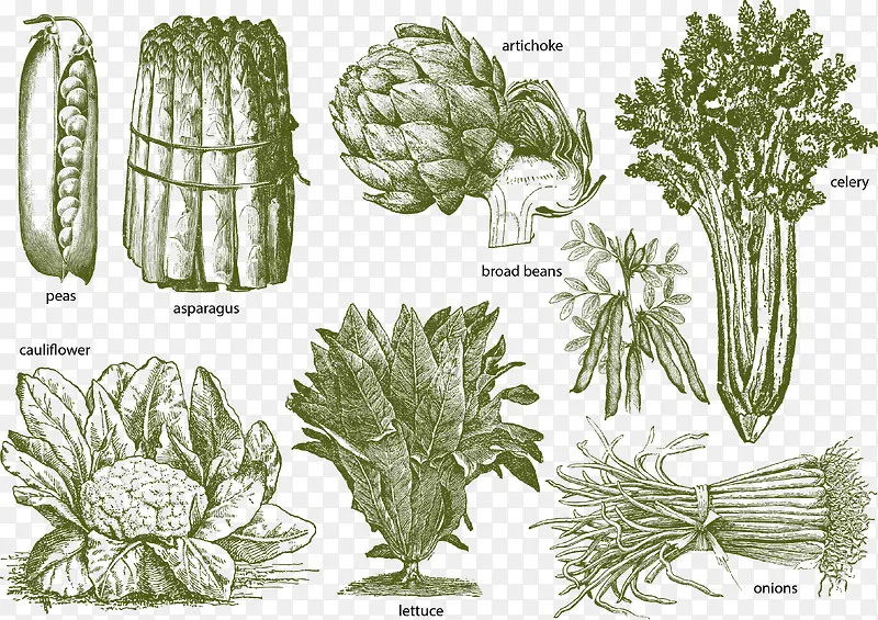 ʸ��ʳ��-������