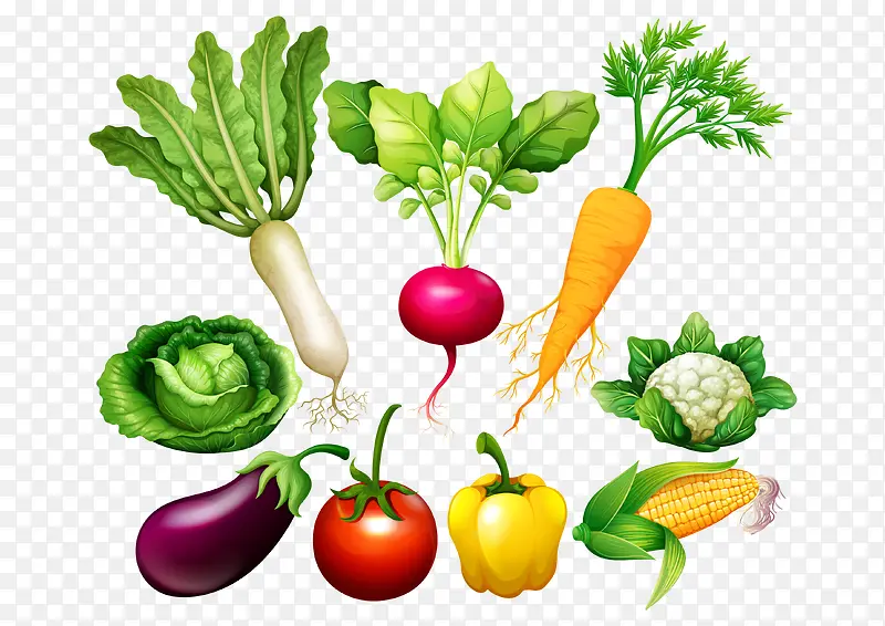 �߲�ʸ��ͼ-������