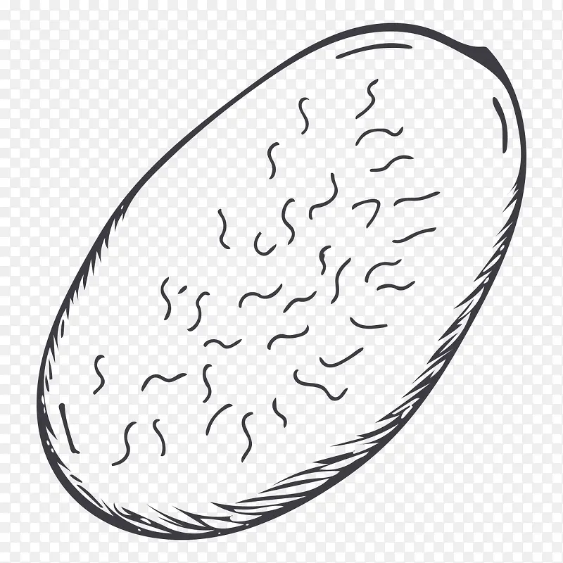 ��Բ���߲�-������