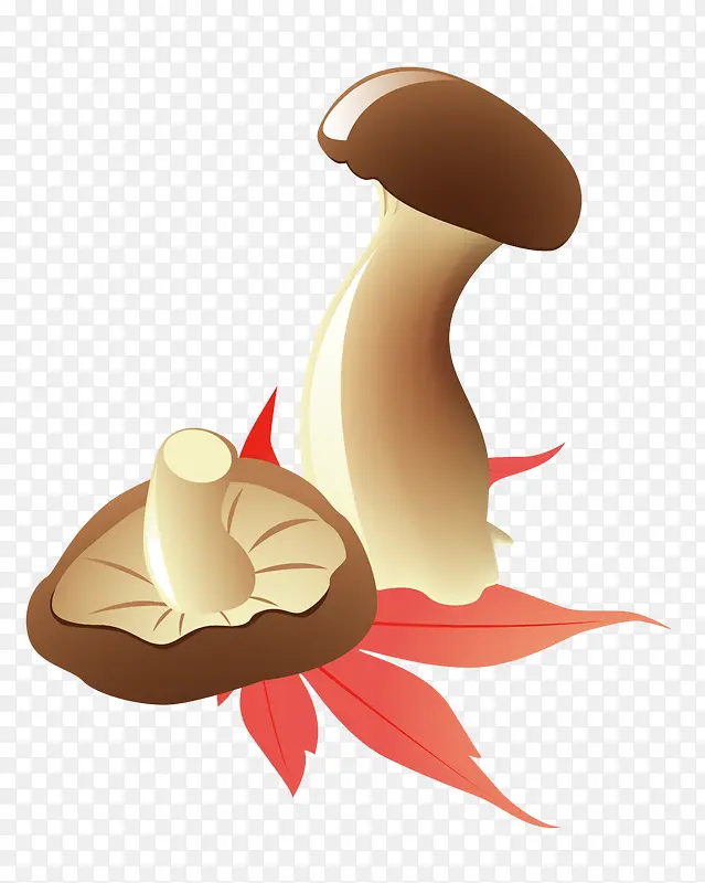 ��ͨʳ��Ģ��-������