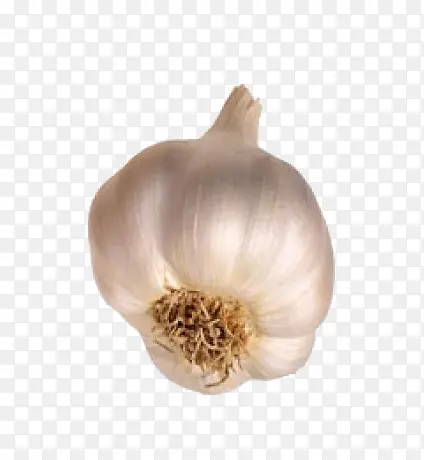 ��ͨʳ��ͼ�� ������-������