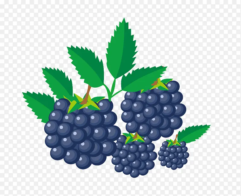 �ֻ���ݮͼƬ�ز�-������