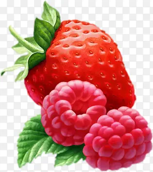 ���ʲ�ݮˮ��ͼƬ-������