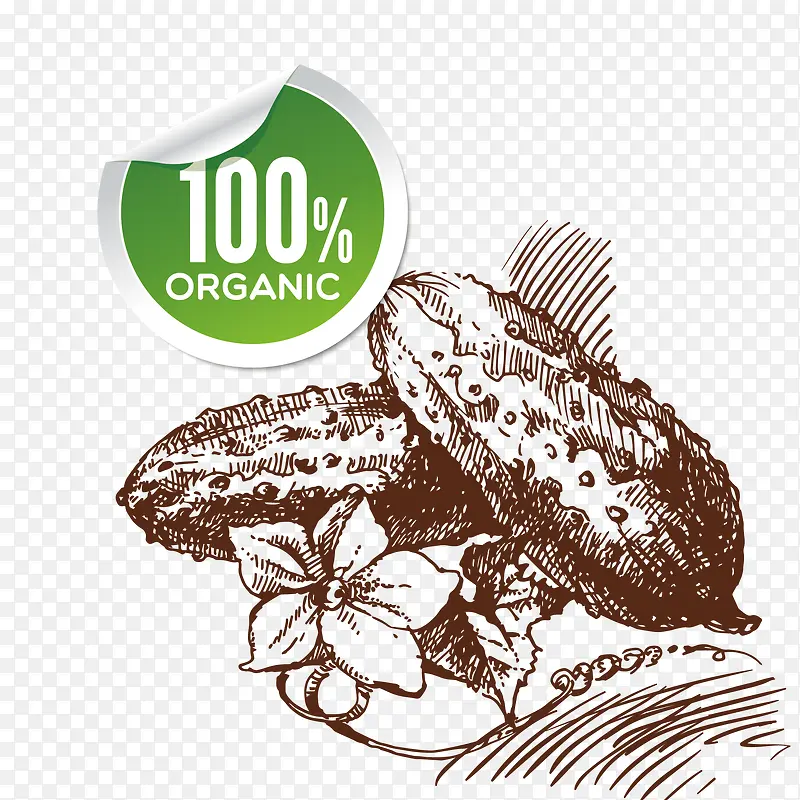 ʸ���ֻ��߲�-������