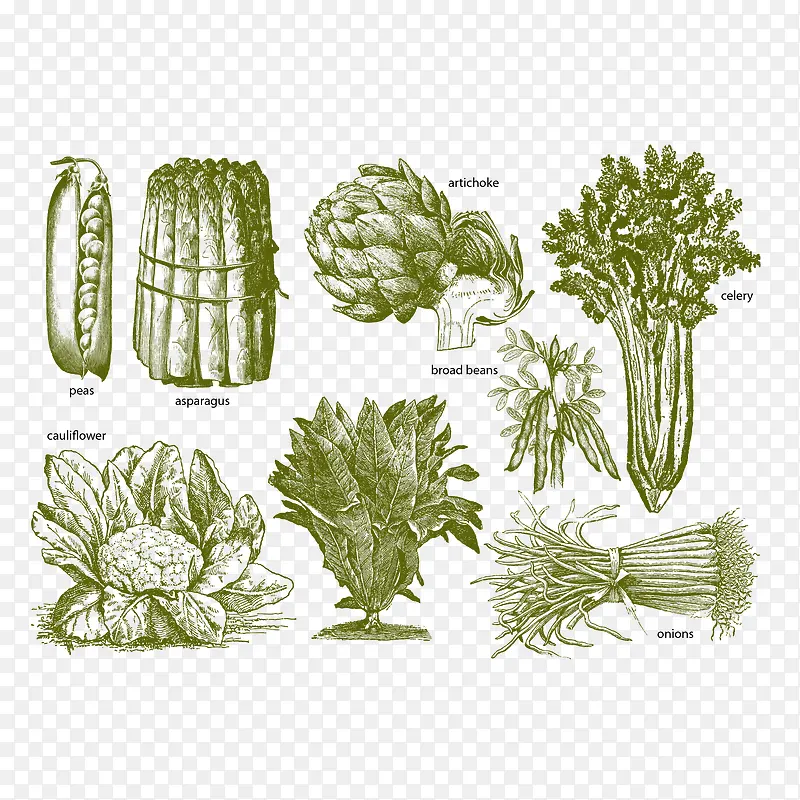 ʸ���ֻ��߲�-������