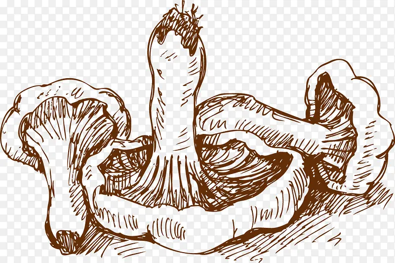 �߲�-������