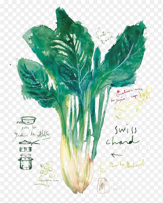 �ֻ��߲�-������