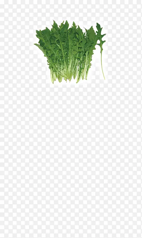 ����߲�-������